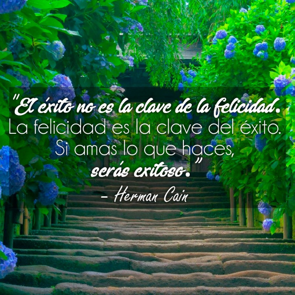 Take Into Account Your Happiness